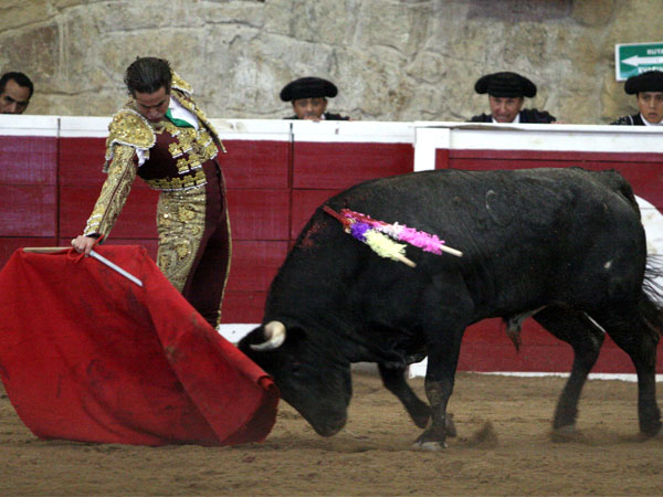 Alejandro Mart�nez V�rtiz