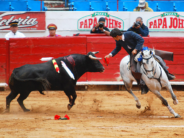 Emiliano Gamero, �nico rejoneador
