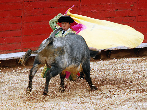 Romero, rumbo a la alternativa