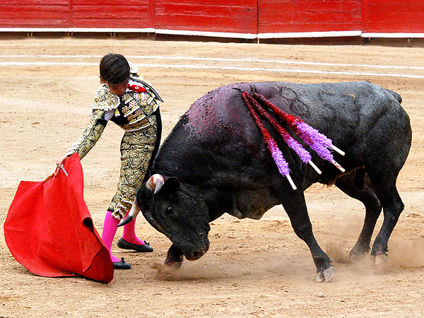 Michelito caus� sensaci�n