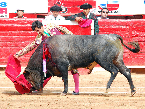 Paulo estoque� cinco novillos