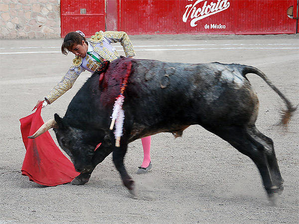 Hilda mostr buen toreo