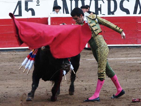 El forzado de pecho de Labastida
