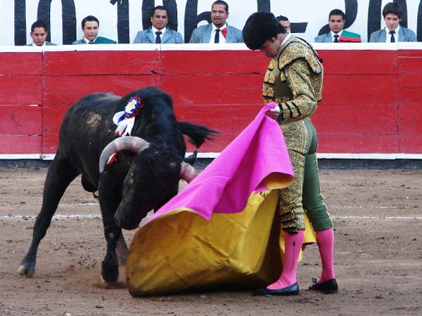 El templado lance de F. Labastida