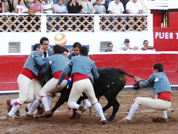 Los forcados  de Quer�taro bien