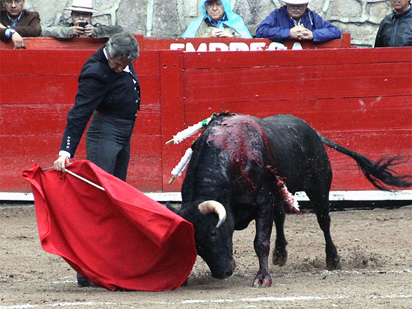 Est� m�s que puesto