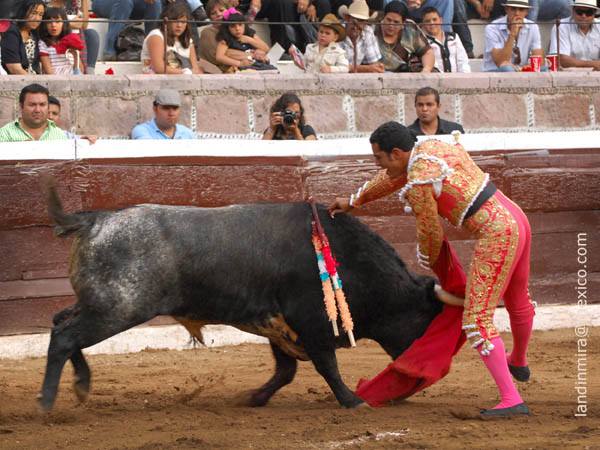 Estoconazo de una oreja