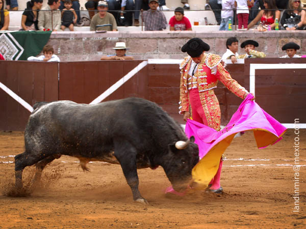 Desmayando los brazos