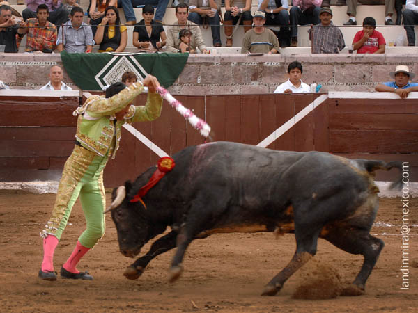 En la cara del ejemplar