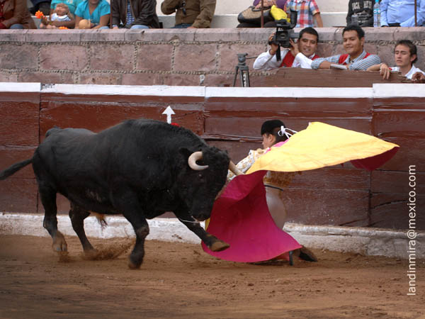 El saludo de Hilda Tenorio