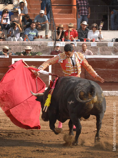 Vitolina en primer tiempo
