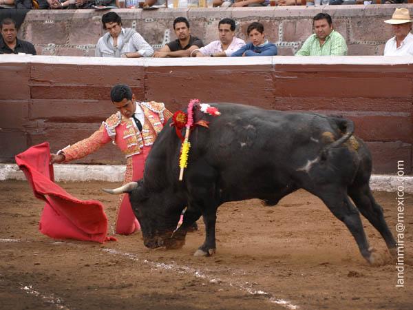 Muletazos de hinojos