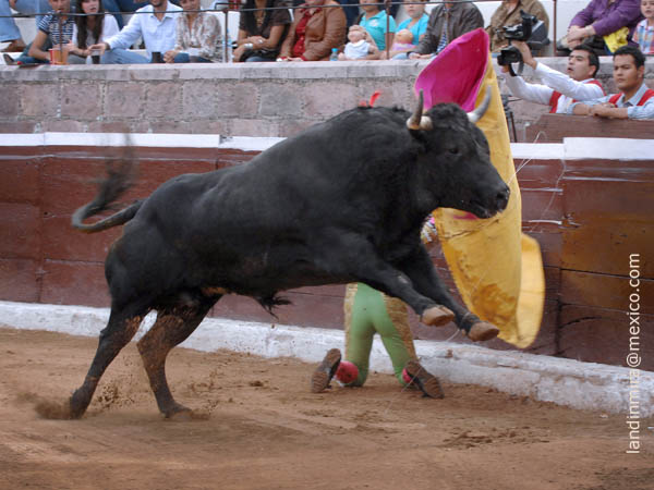 Salta a la arena el primero