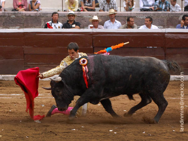 Muletazos de hinojos