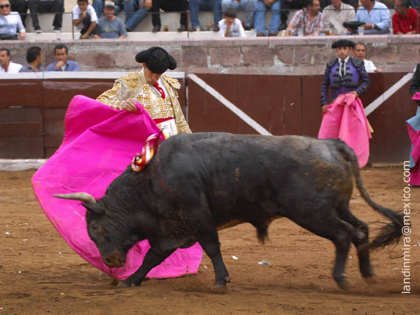 Aldo saluda al quinto