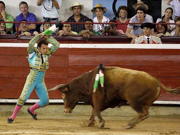 Un par de Antonio Ferrera