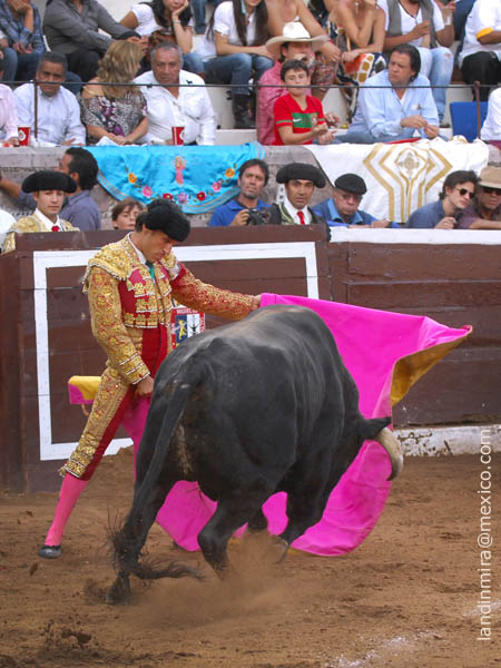 Barba, con el segundo de su lote