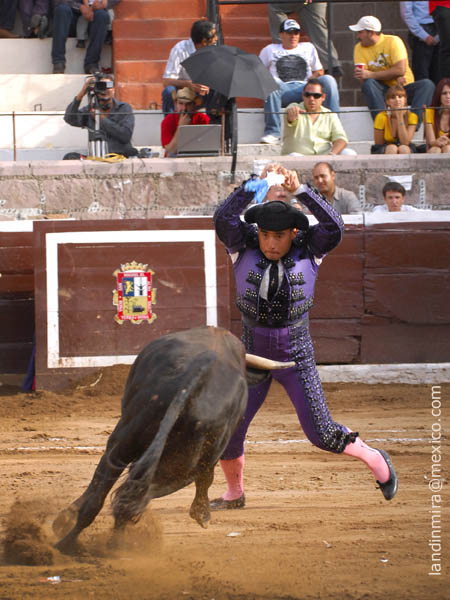 El par de Diego Bricio