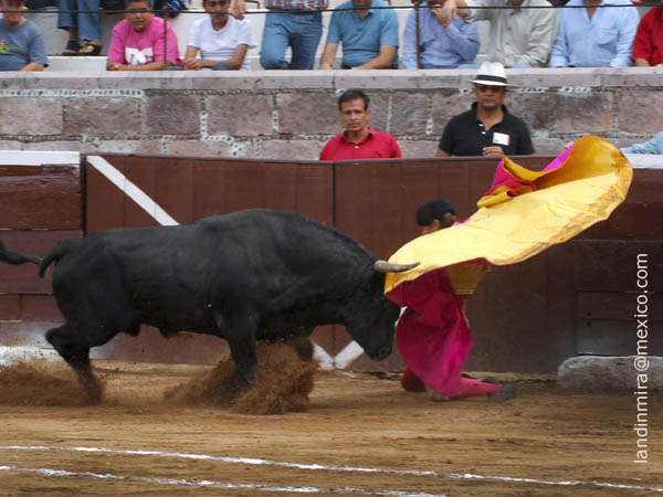 Inicia Fabi�n Barba