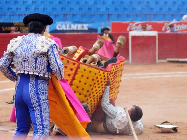 El caballo le cay� encima