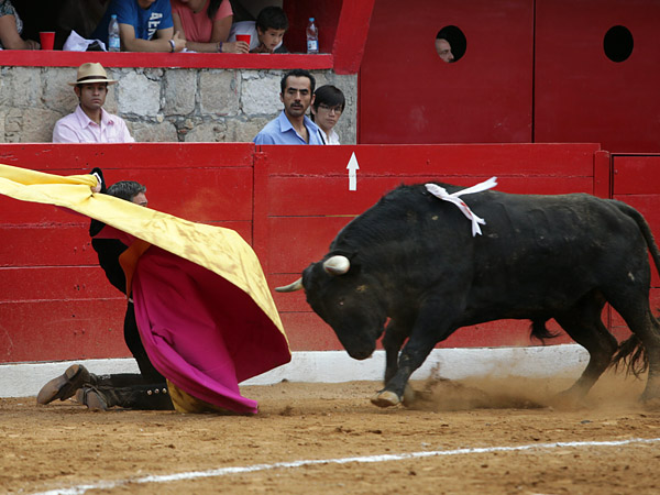 As� sali� Aparicio