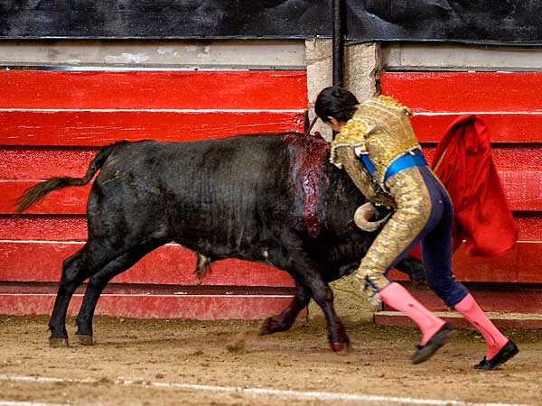 Media en todo lo alto