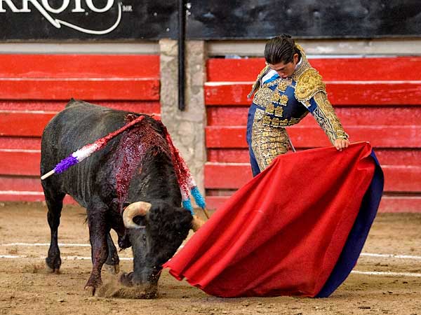 Aqu� hay un torero