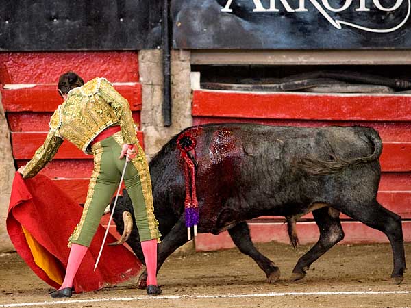Rodrigo tirando del toro