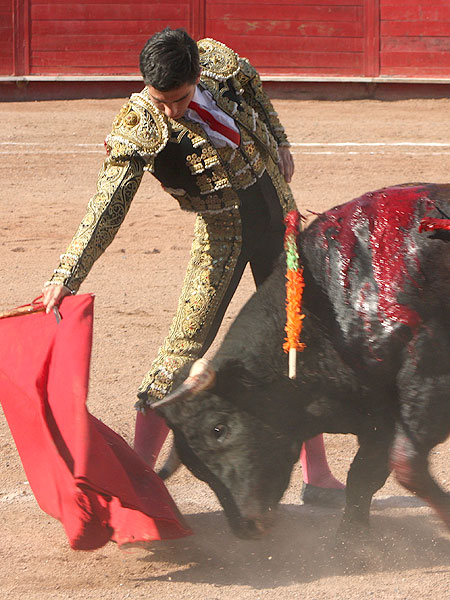 Sometiendo la embestida