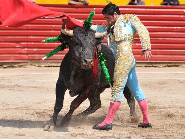 Ce�ido pase de pecho