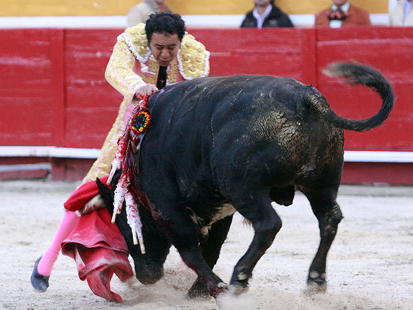 Excelente ejecuci�n