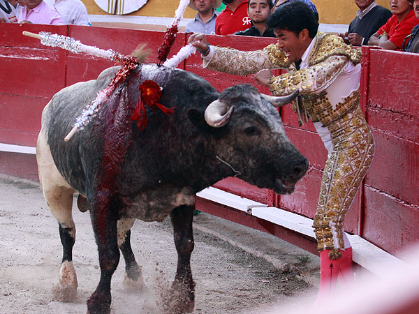 Complaciendo al p�blico