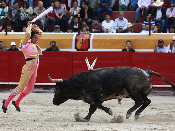 Espectacular con las jaras