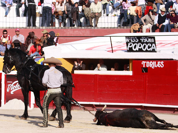 El del Vergel ovacionado