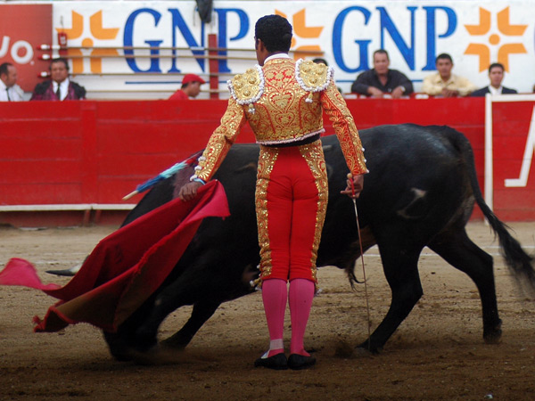 Rotos, toro y torero
