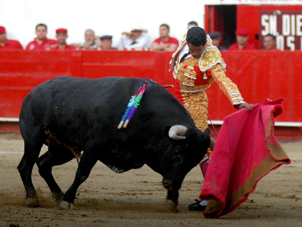 Clase en la embestida