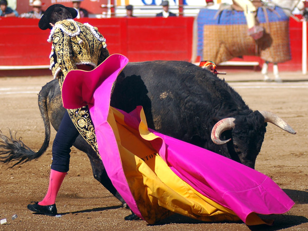 Andando con torer�a