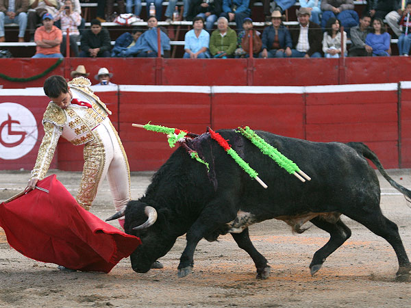 Embebido en la muleta