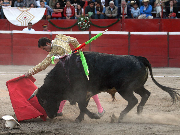 Calidad en la embestida