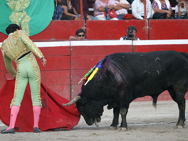 Ech�ndole los vuelos