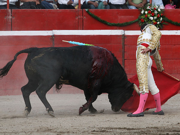 Comi�ndose la muleta