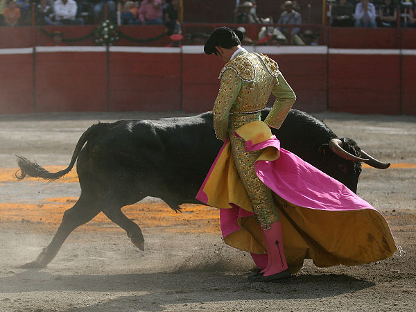 El arte de Guillermo Mart�nez