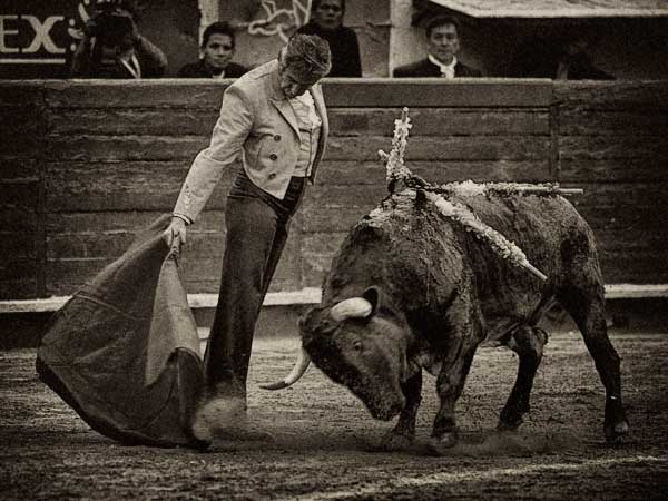 Un regalo del Capit�n