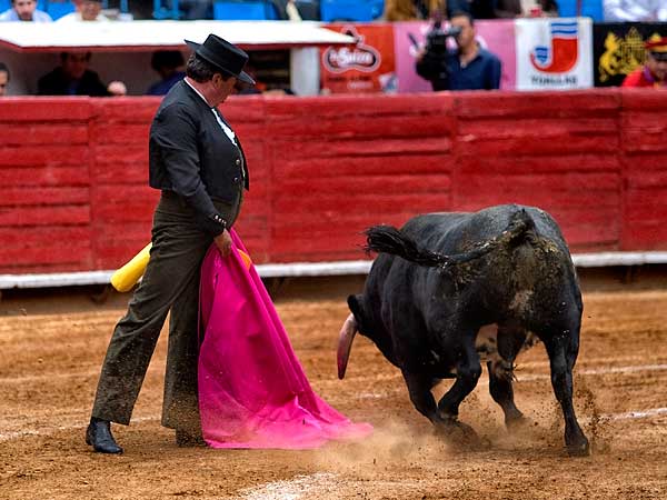 Desmayando los brazos