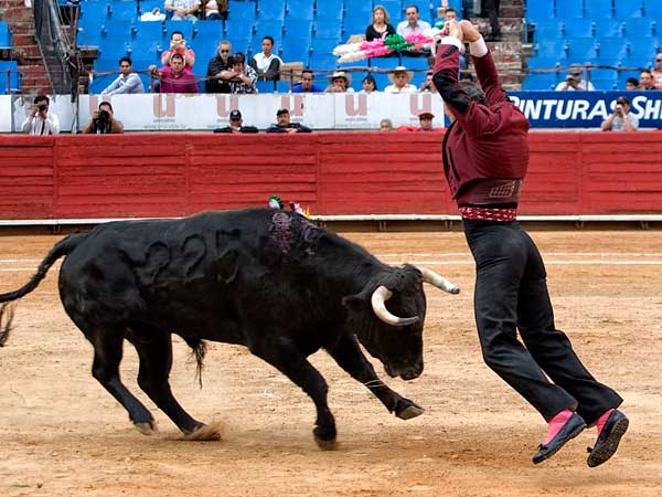 Cuadrando en la cara del toro