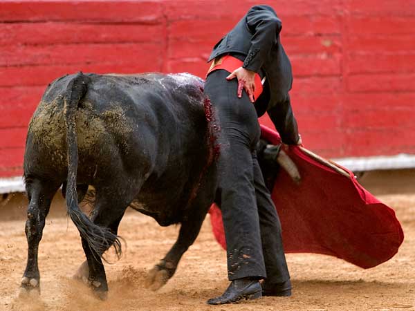 Extendiendo el trazo