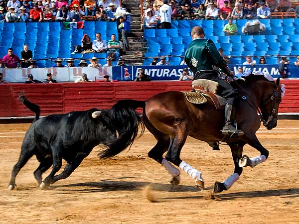 Llev�ndolo muy toreado