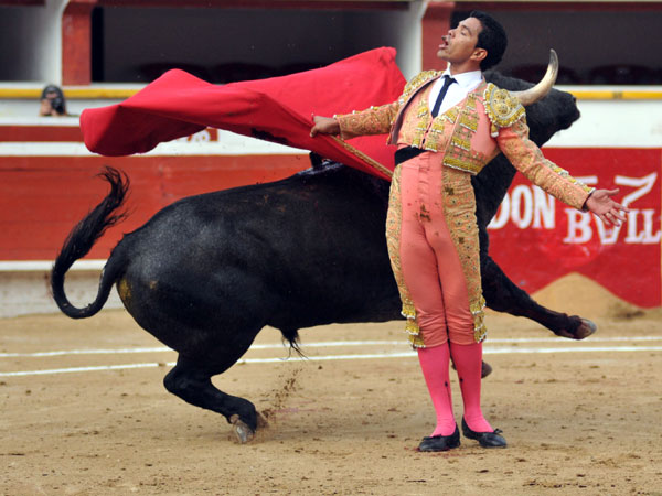 La alegr�a del Le�n de Caracas