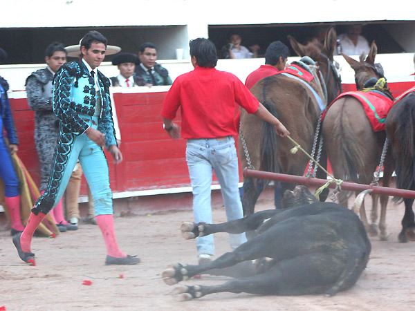 Homenaje al bravo toro de Bego�a