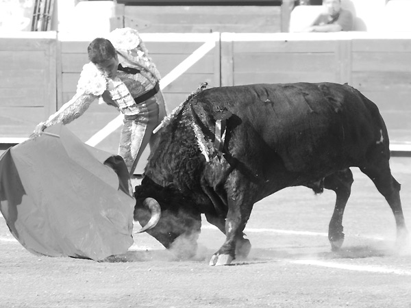 Enred�ndose con el toro